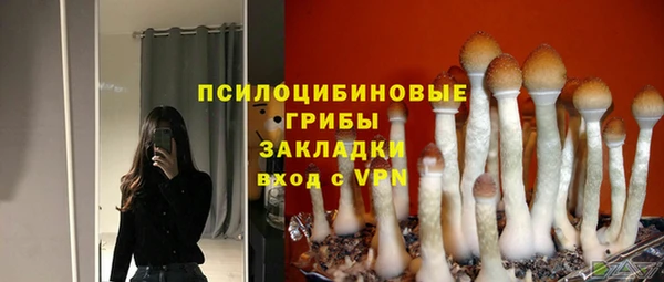 СК Абаза