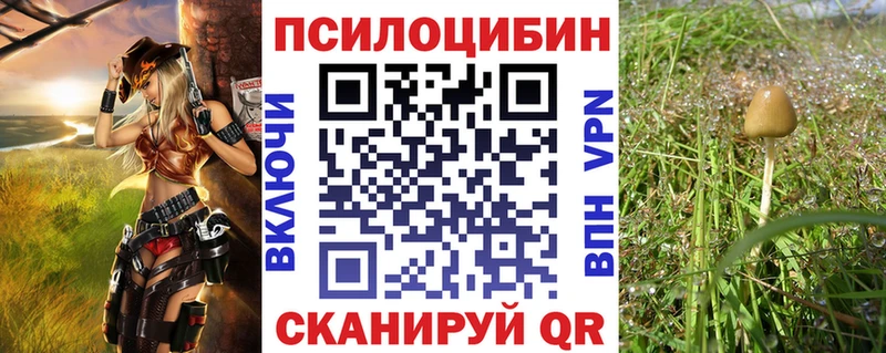 Галлюциногенные грибы ЛСД Тырныауз